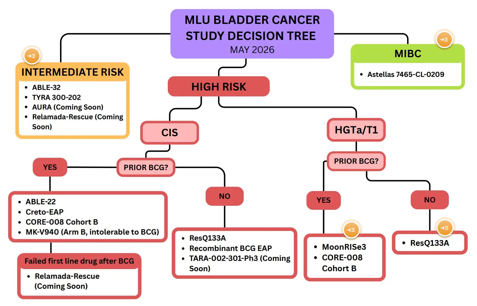 mlu-bladder-cancer-decision-tree-may.-2026