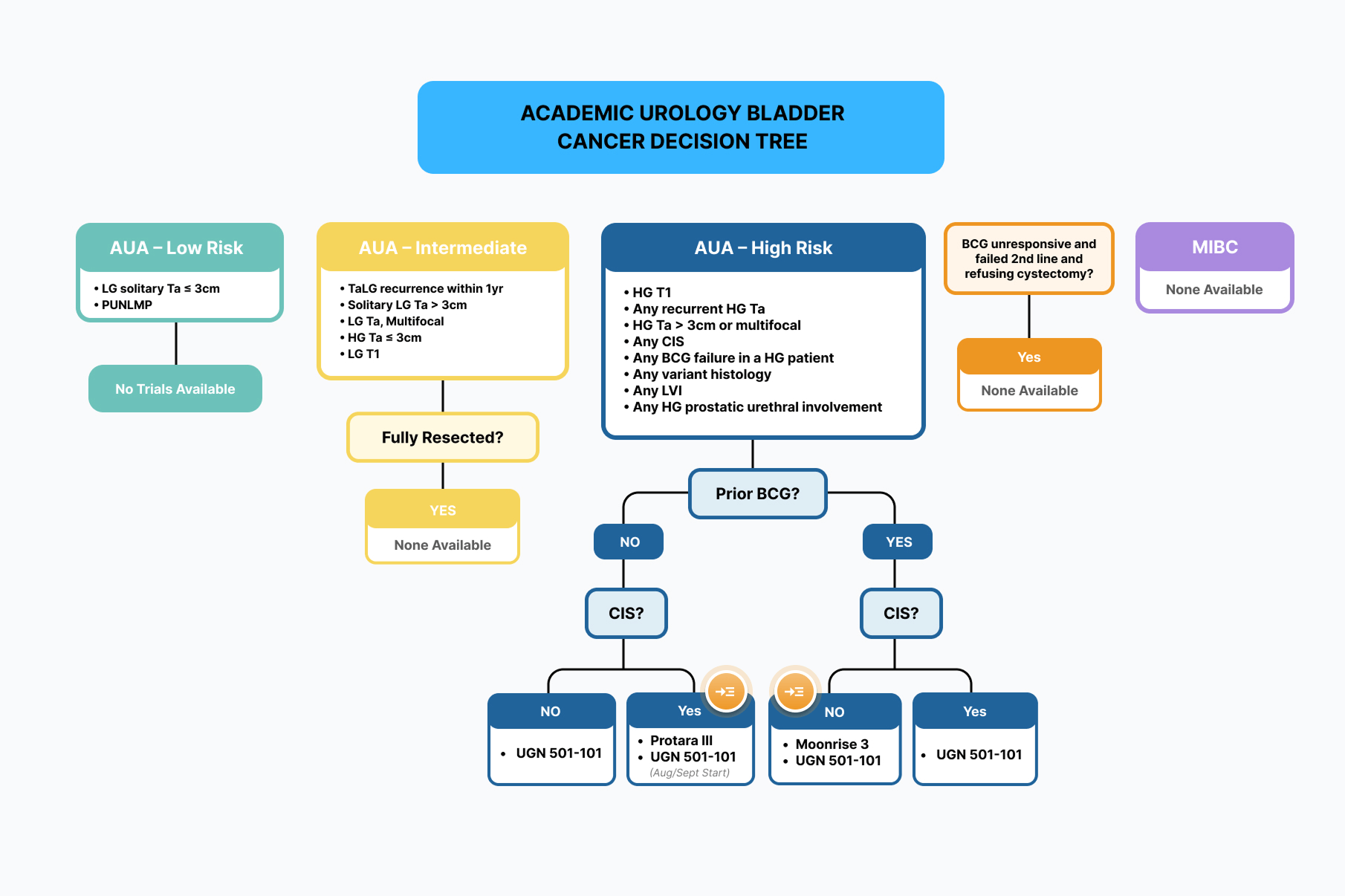 Academic Urology – Bladder Cancer Decision tree