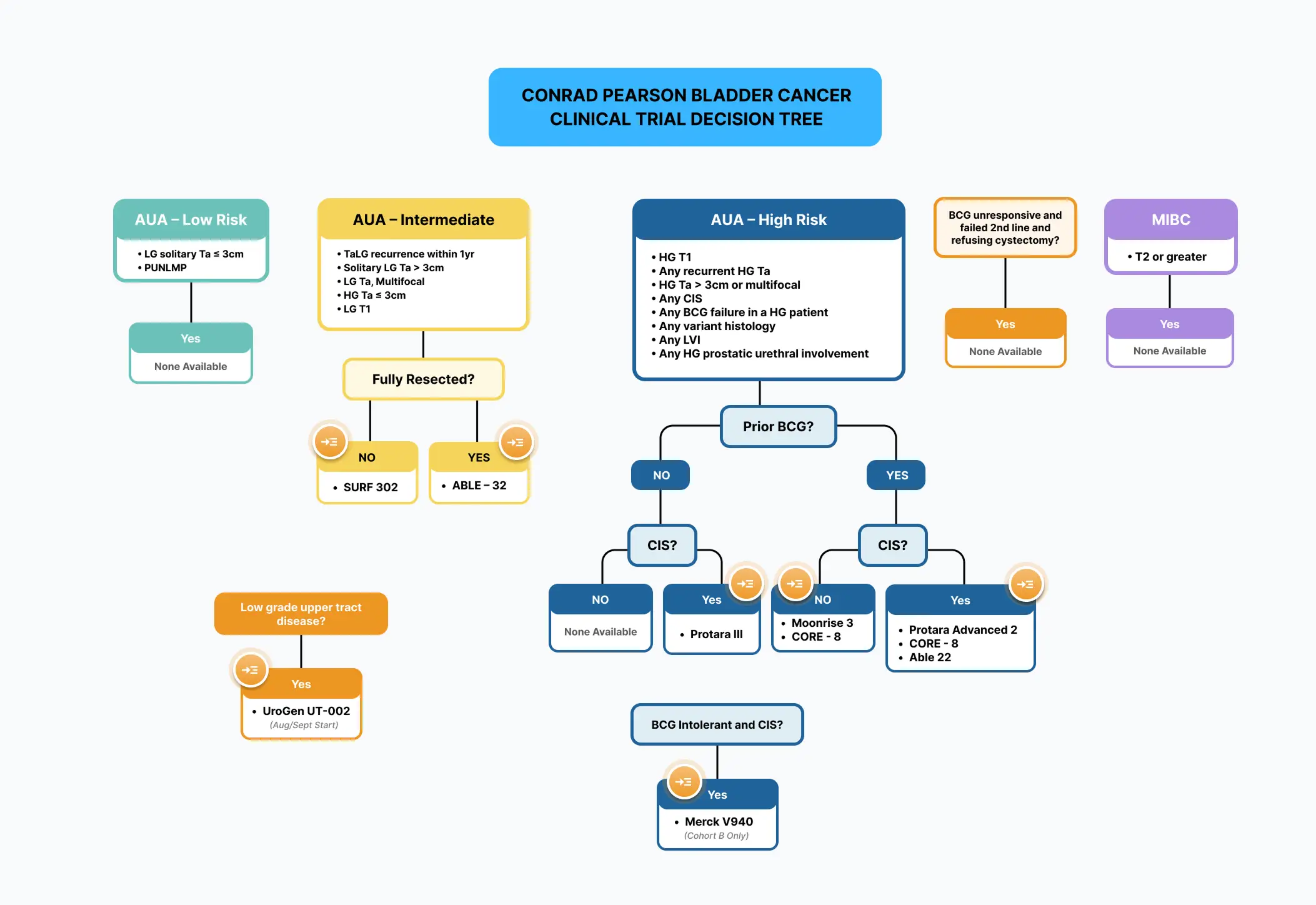 Conrad Pearson – Bladder Cancer Clinical Trial Decision Tree