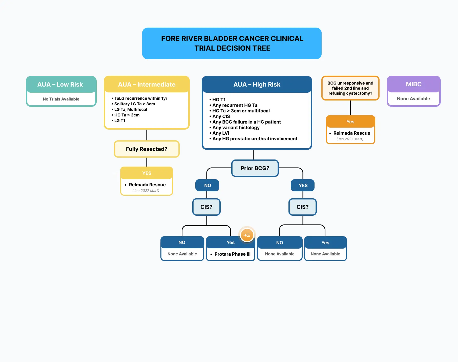 Fore River BLADDER CANCER decision tree