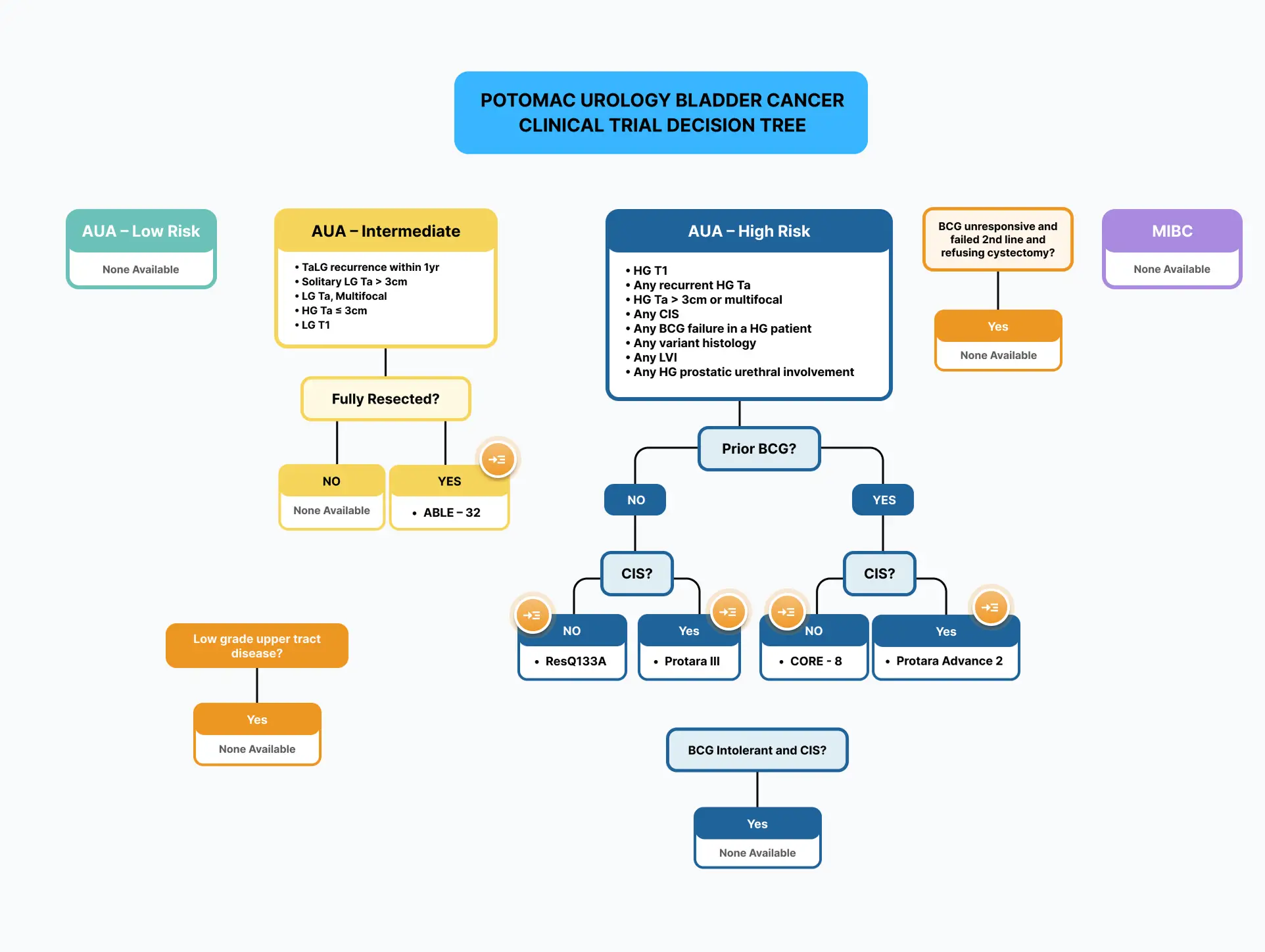 Potomac Urology Bladder Cancer Clinical Trial Decision Tree