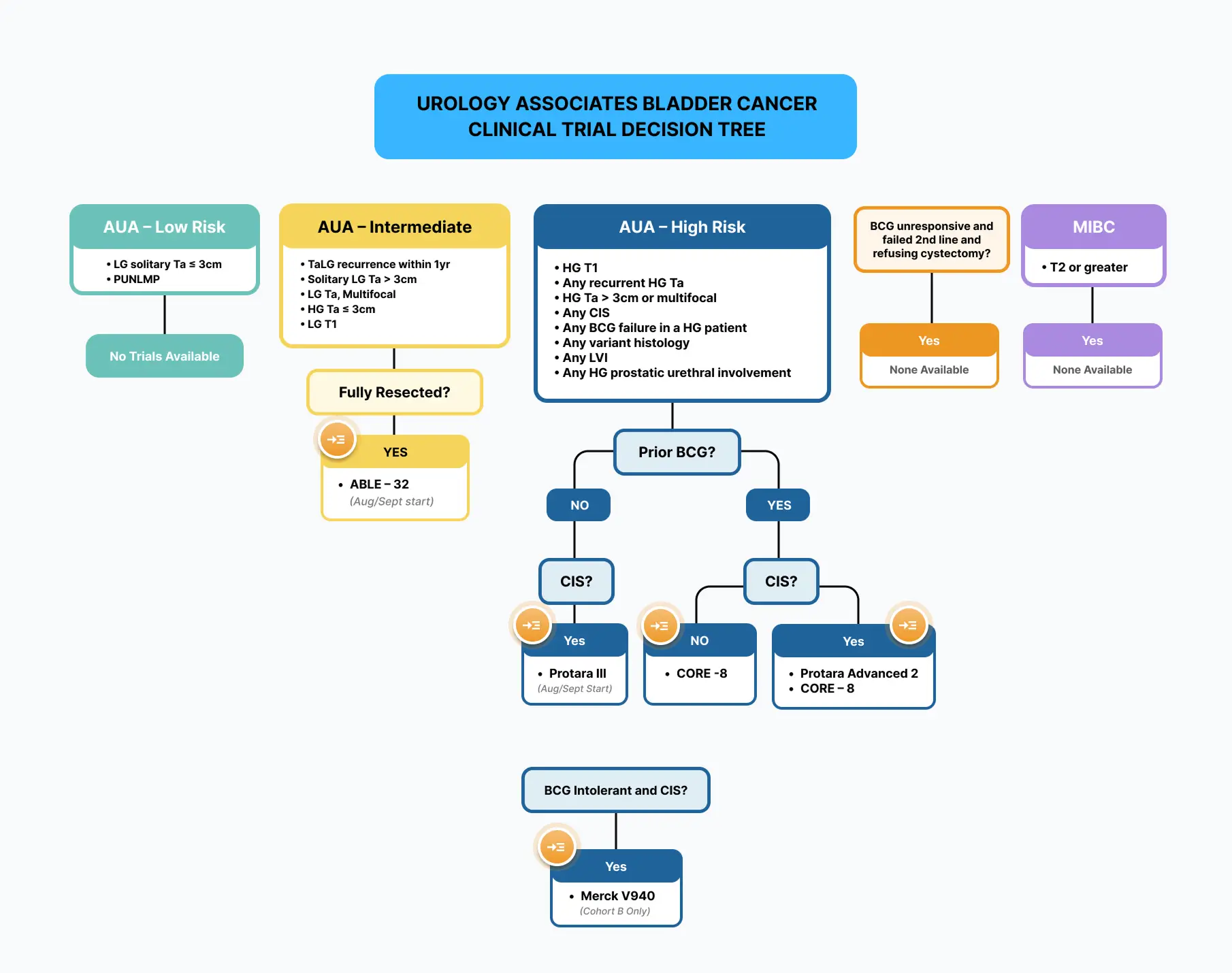 Urology Associates Bladder Cancer Clinical Trial Decision Tree