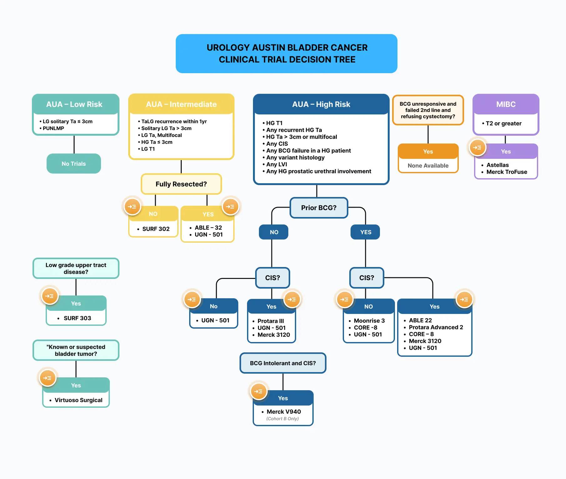 Urology Austin Bladder Cancer Clinical Trial Decision Tree